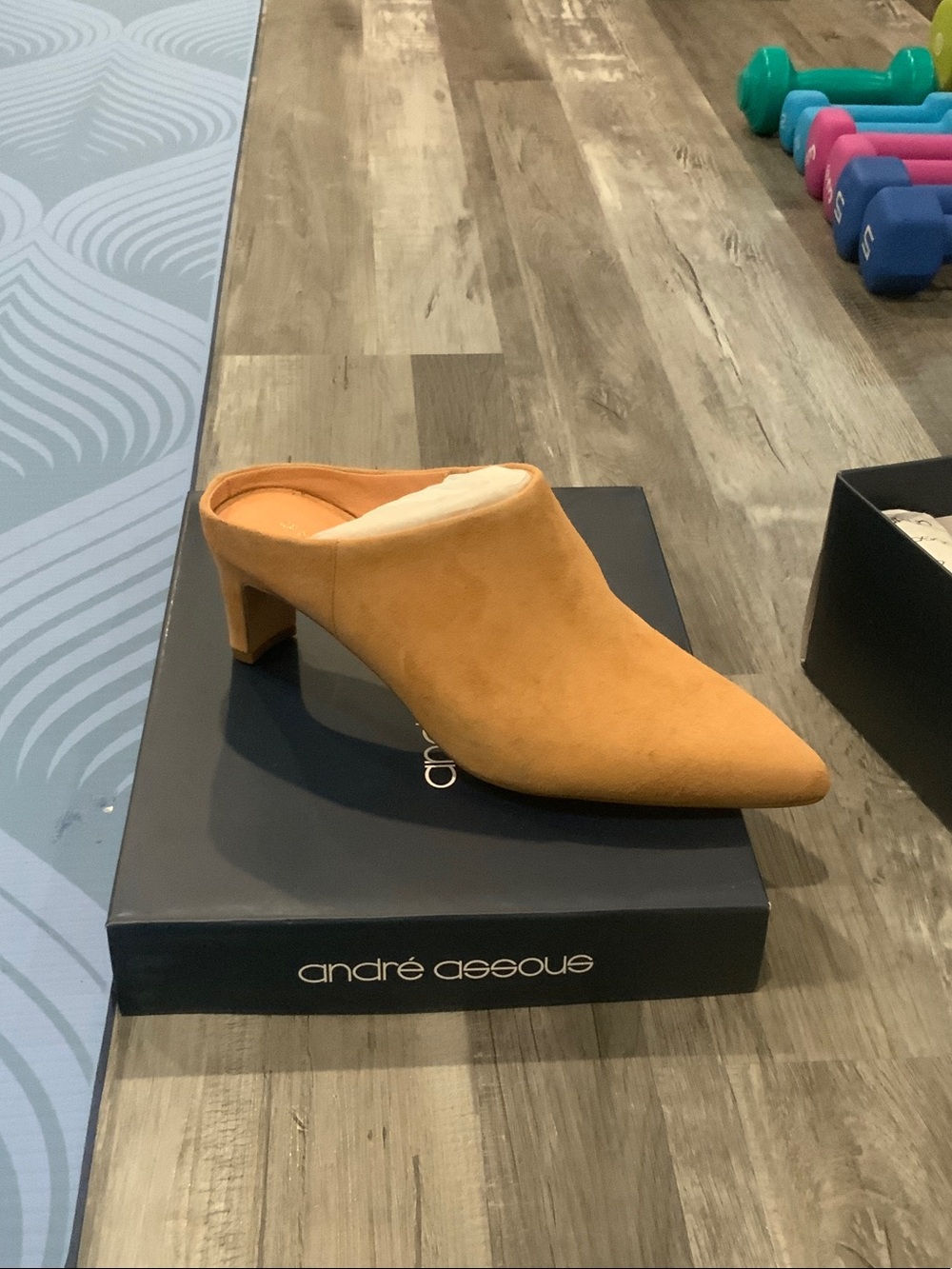 Andre Assous Mules